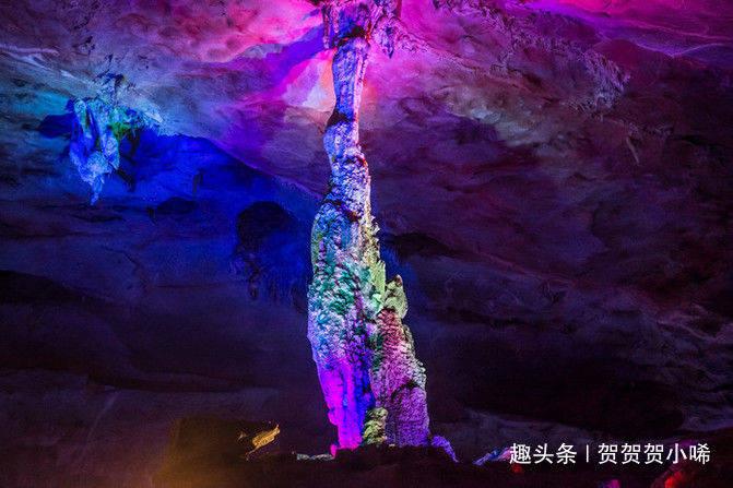 公主的阅读区