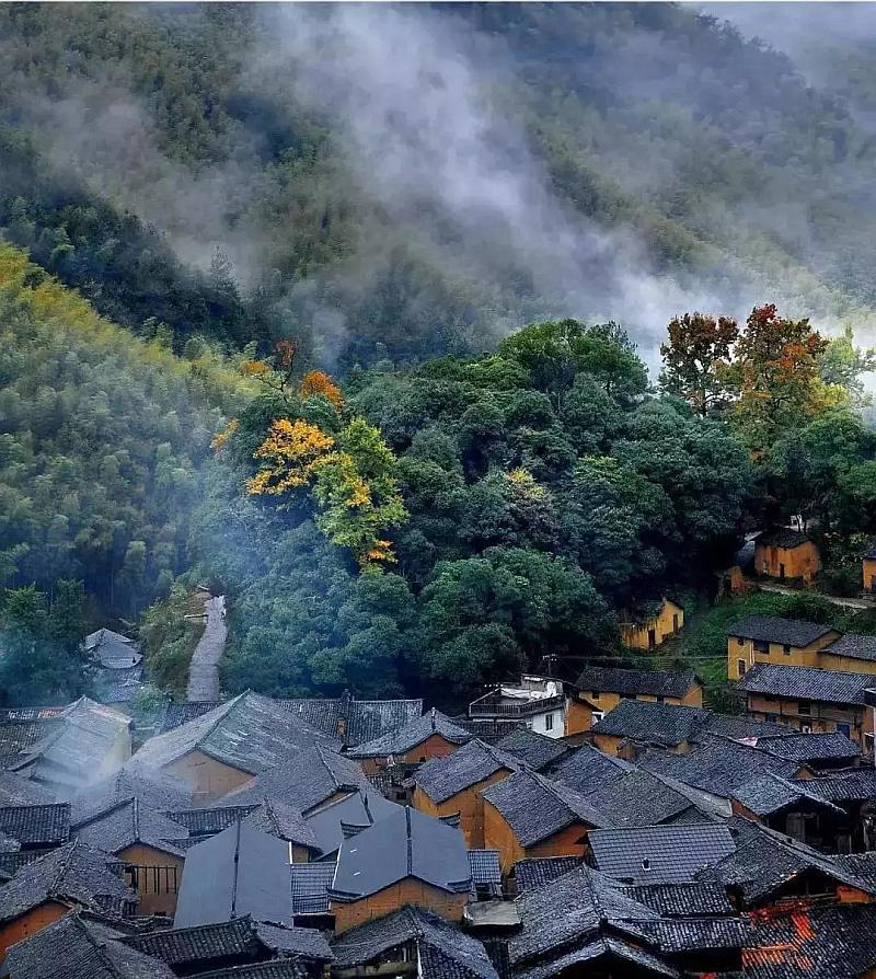 来弥勒太平湖森林小镇,赴一场春日花海之约